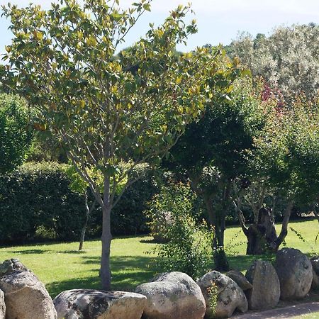 Les Jardins De Santa Giulia - Charmante Chambre D'Hote Porto-Vecchio  Luaran gambar