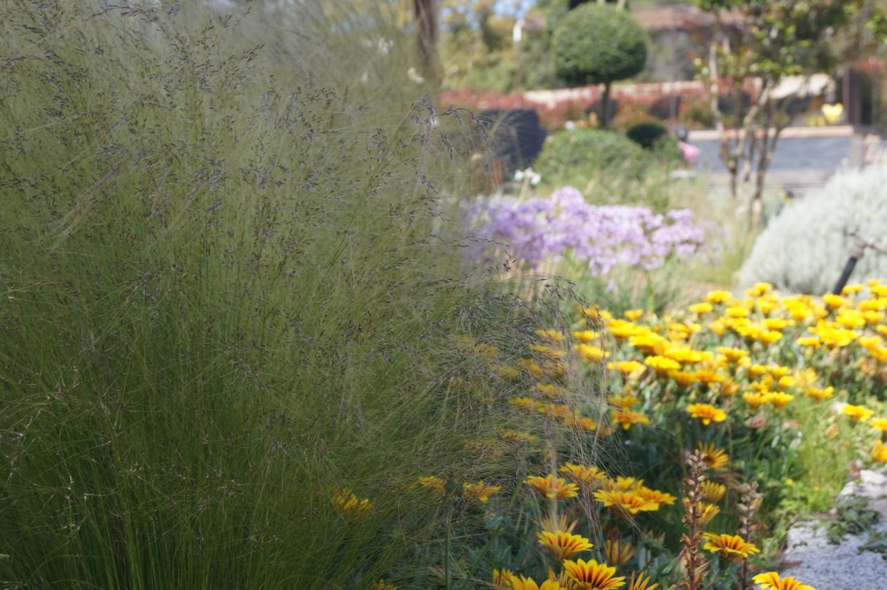 Les Jardins De Santa Giulia - Charmante Chambre D'Hote Porto-Vecchio  Luaran gambar